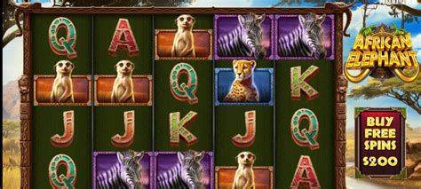 slotsanimal|2023 Slots Animal Casino Review .